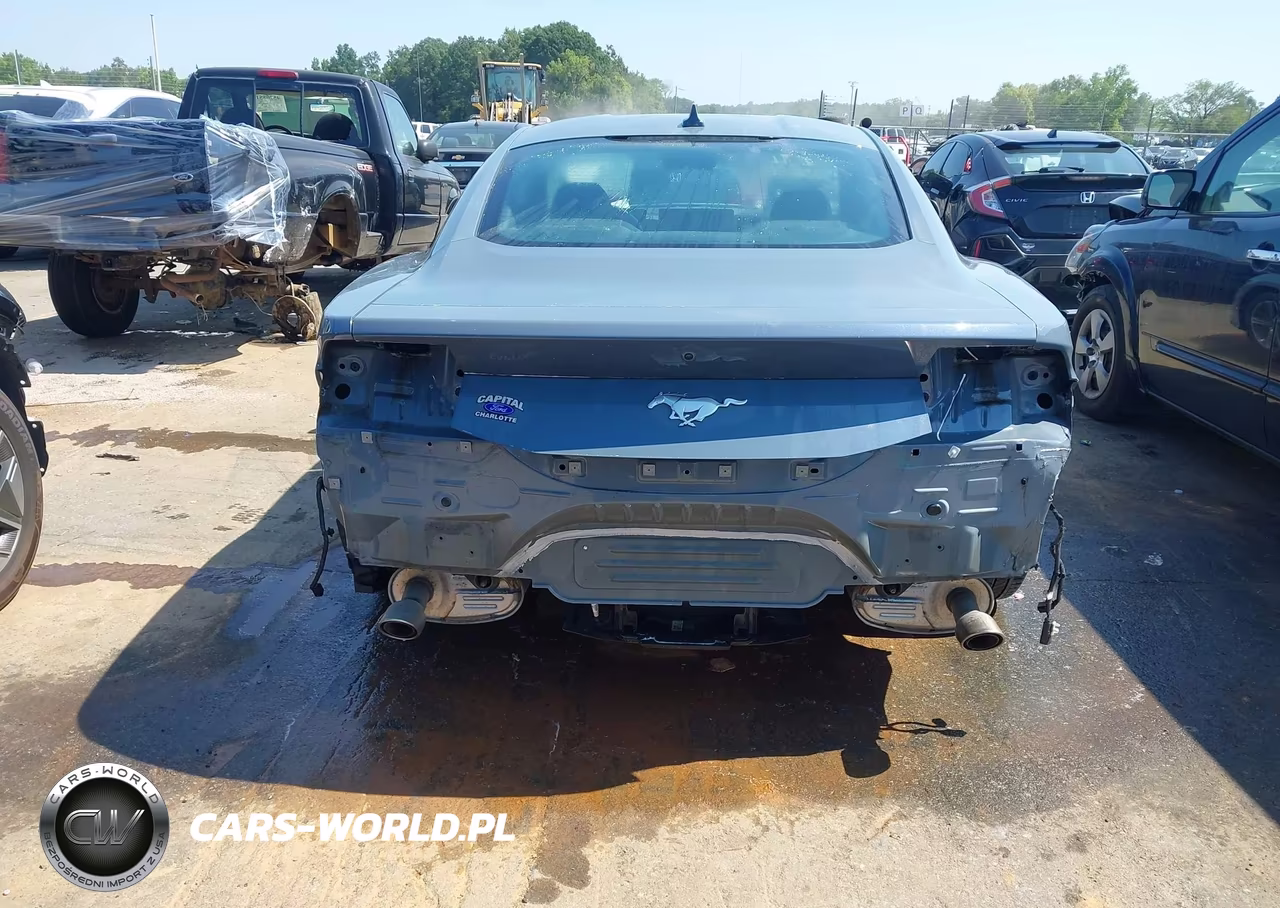 2024 Ford Mustang Ecoboost Fastback VIN:1FA6P8TH9R5110878 - 17