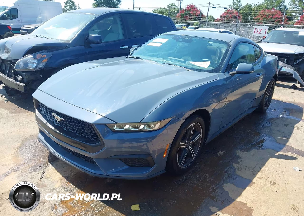 2024 Ford Mustang Ecoboost Fastback VIN:1FA6P8TH9R5110878 - 2