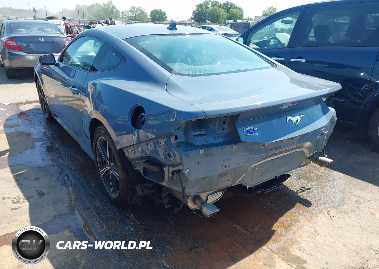 2024 Ford Mustang Ecoboost Fastback VIN:1FA6P8TH9R5110878 - 3