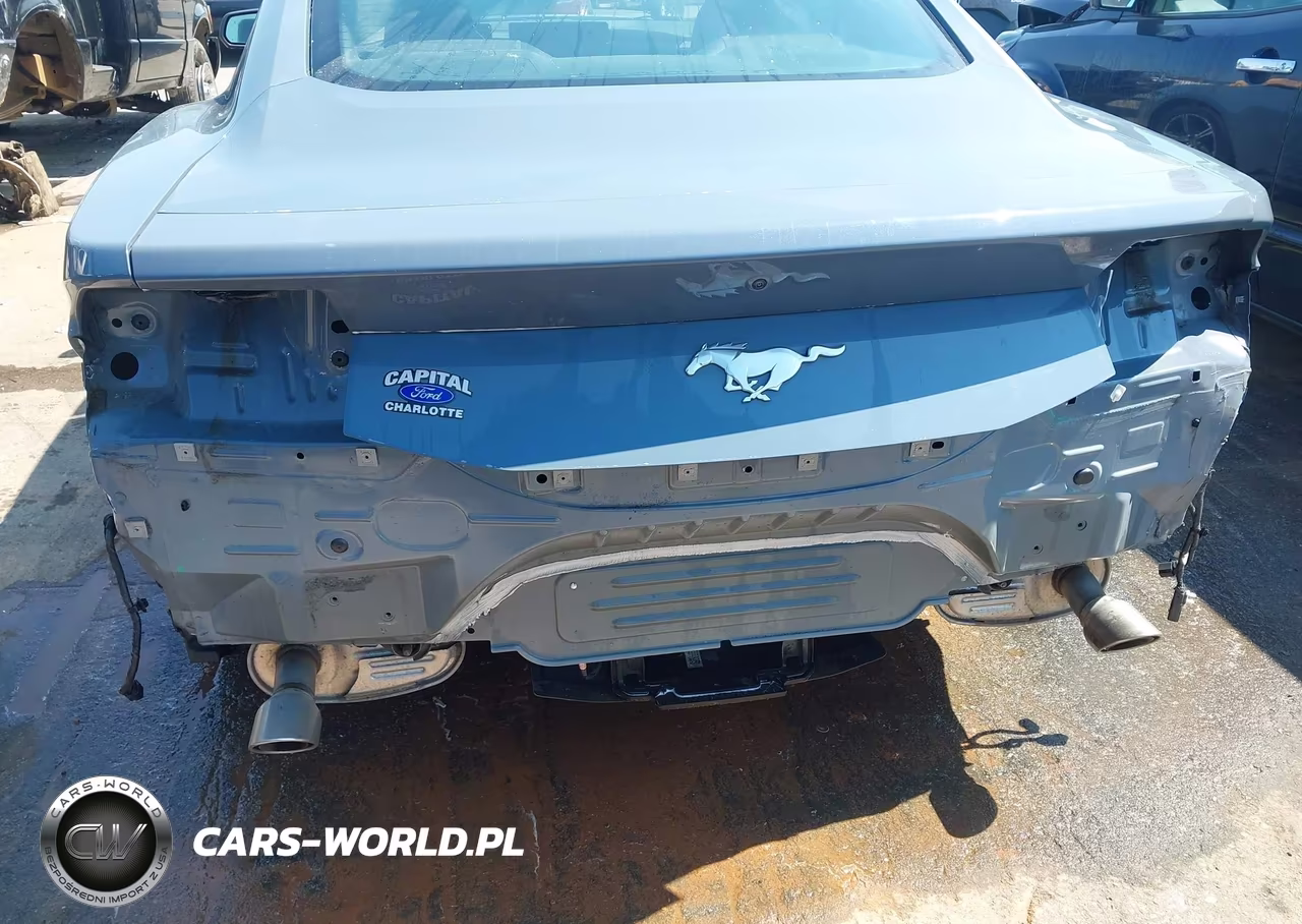 2024 Ford Mustang Ecoboost Fastback VIN:1FA6P8TH9R5110878 - 6