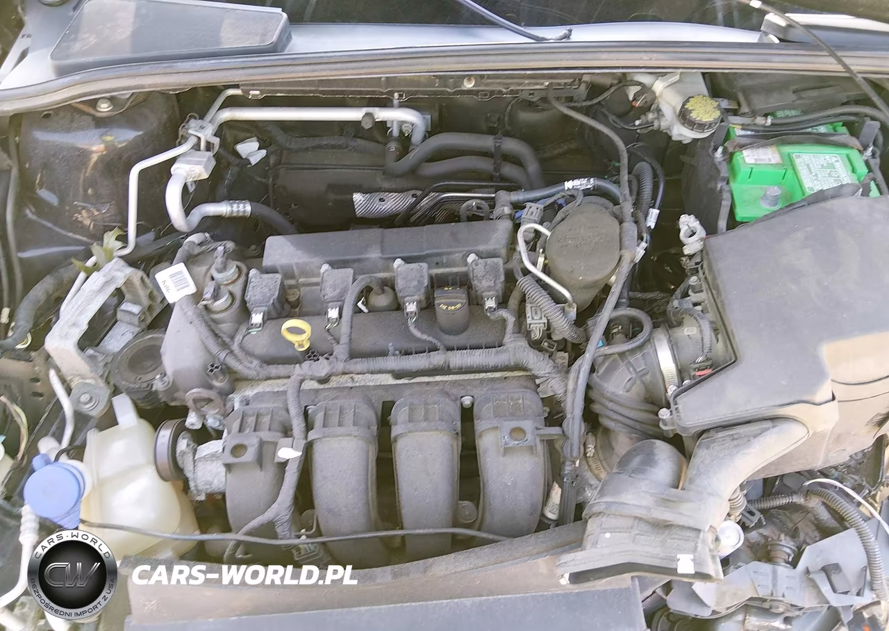 2016 Ford Focus Se VIN:1FADP3K2XGL223786 - 10