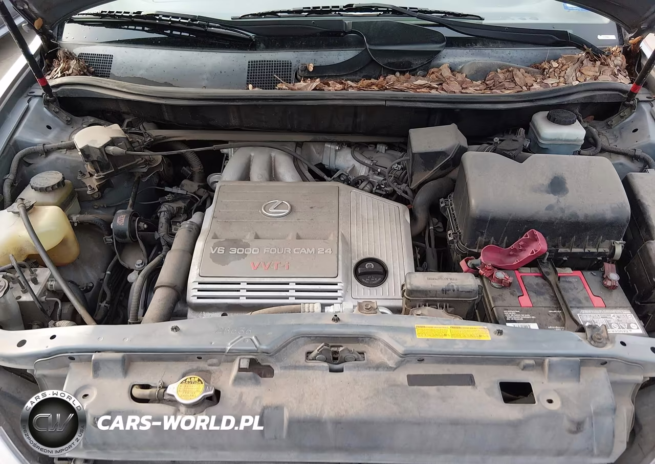 2002 Lexus Rx 300 VIN:JTJGF10U220120744 - 10