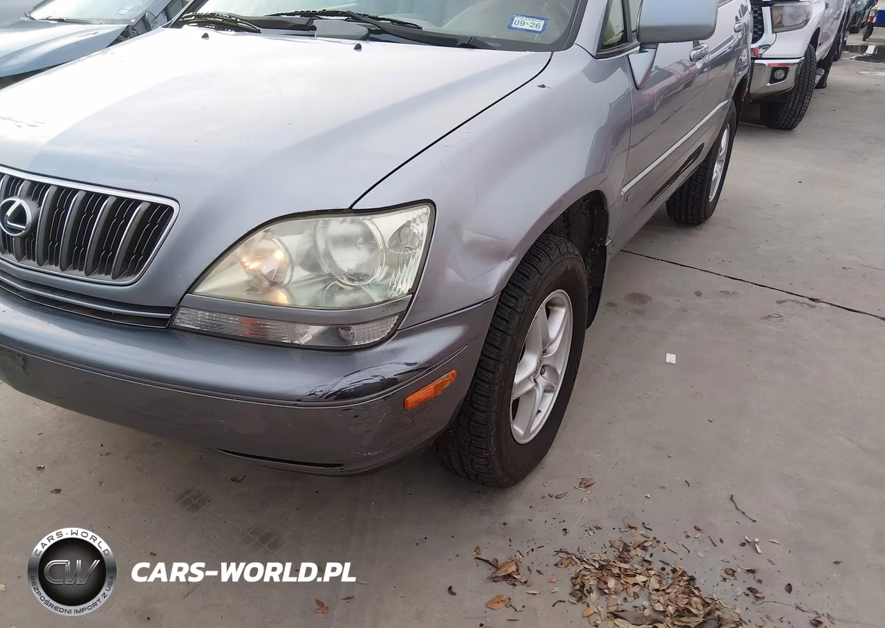 2002 Lexus Rx 300 VIN:JTJGF10U220120744 - 6