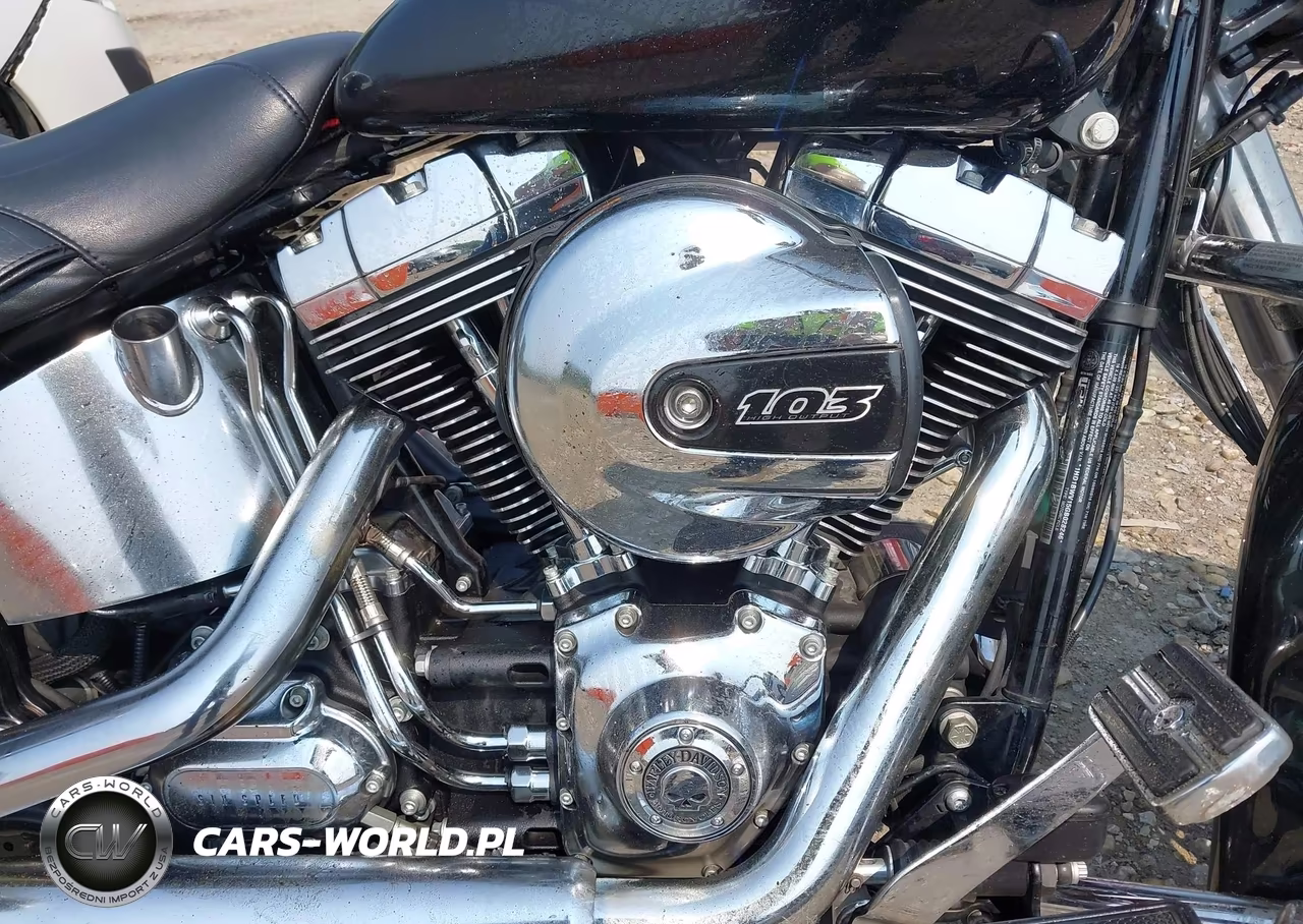2016 Harley-Davidson Flstc Heritage Softail Classic VIN:1HD1BWV15GB028246 - 8