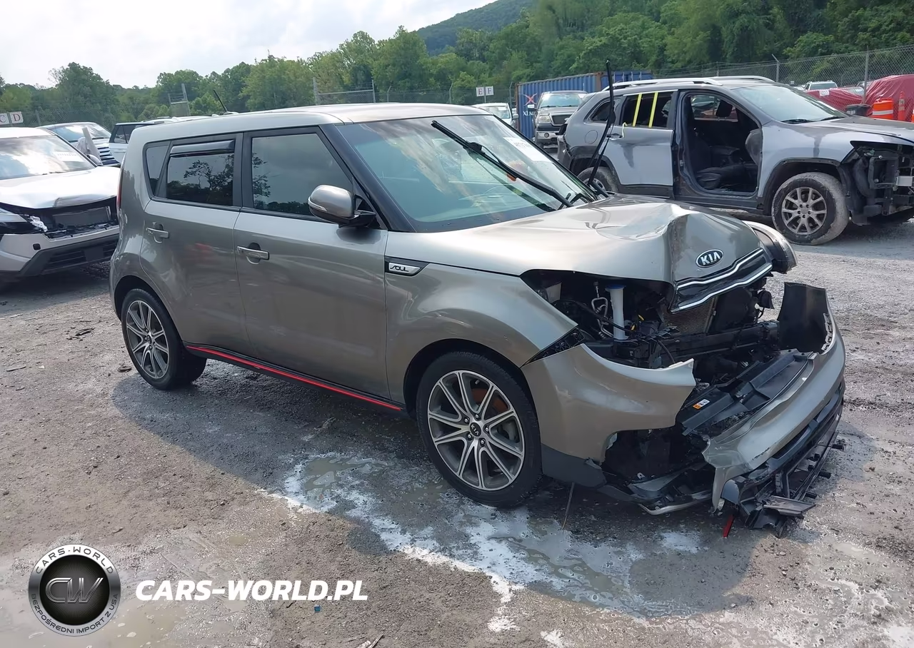 2019 Kia Soul !
