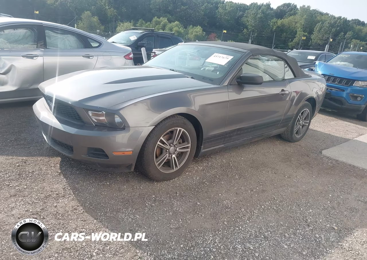 2010 Ford Mustang V6 Premium VIN:1ZVBP8EN4A5107304 - 2