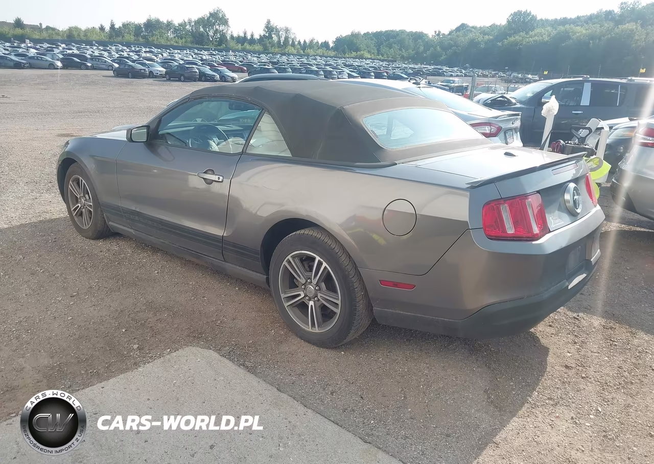 2010 Ford Mustang V6 Premium VIN:1ZVBP8EN4A5107304 - 3