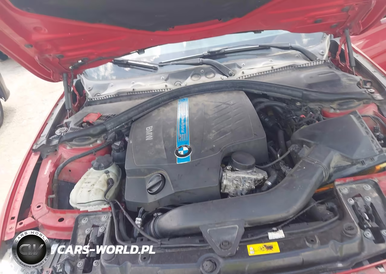 2013 BMW Activehybrid 3 VIN:WBA3F9C58DF145441 - 10