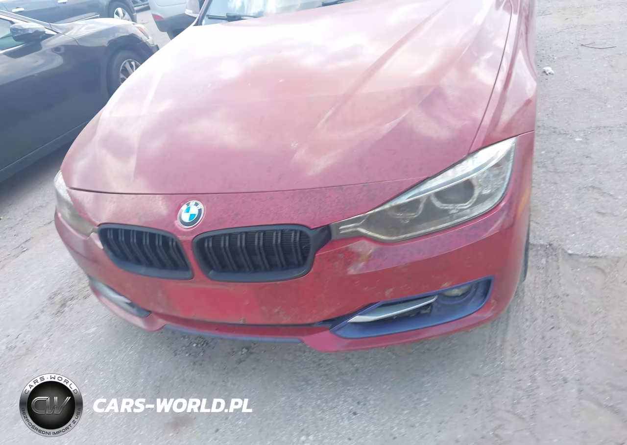 2013 BMW Activehybrid 3 VIN:WBA3F9C58DF145441 - 12