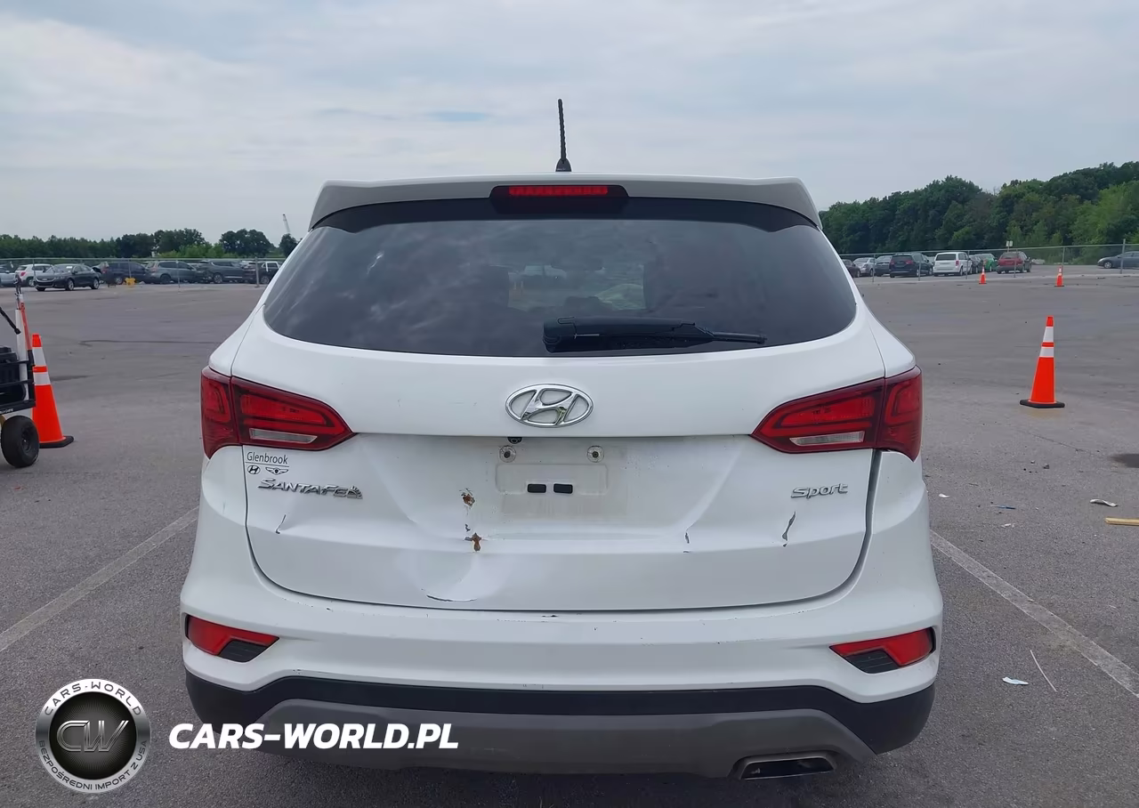 2018 Hyundai Santa Fe Sport 2.4L VIN:5XYZT3LB5JG566843 - 16