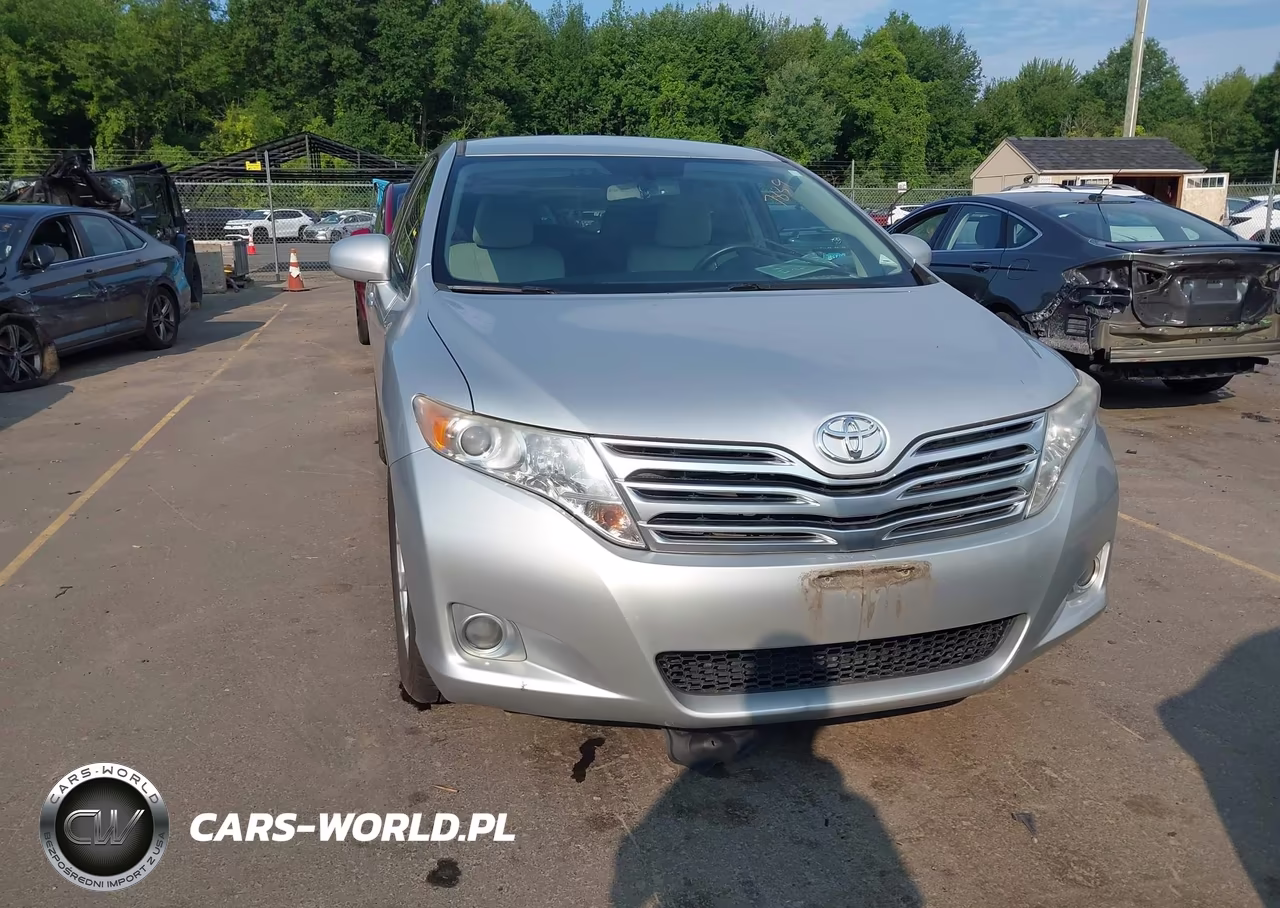 2009 Toyota Venza VIN:4T3BE11A99U006525 - 6