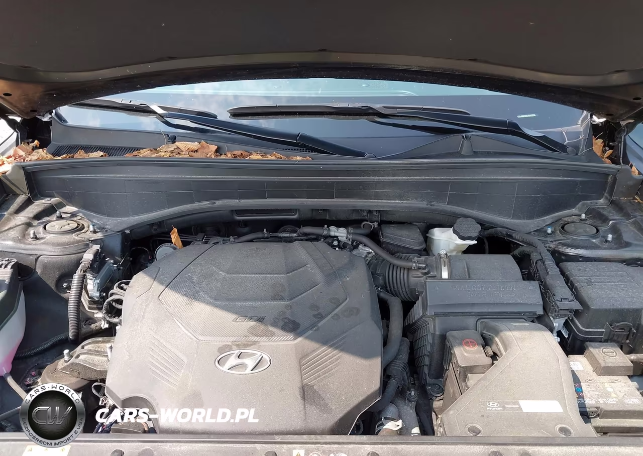 2025 Hyundai Palisade Xrt VIN:KM8R3DGE4SU903556 - 10