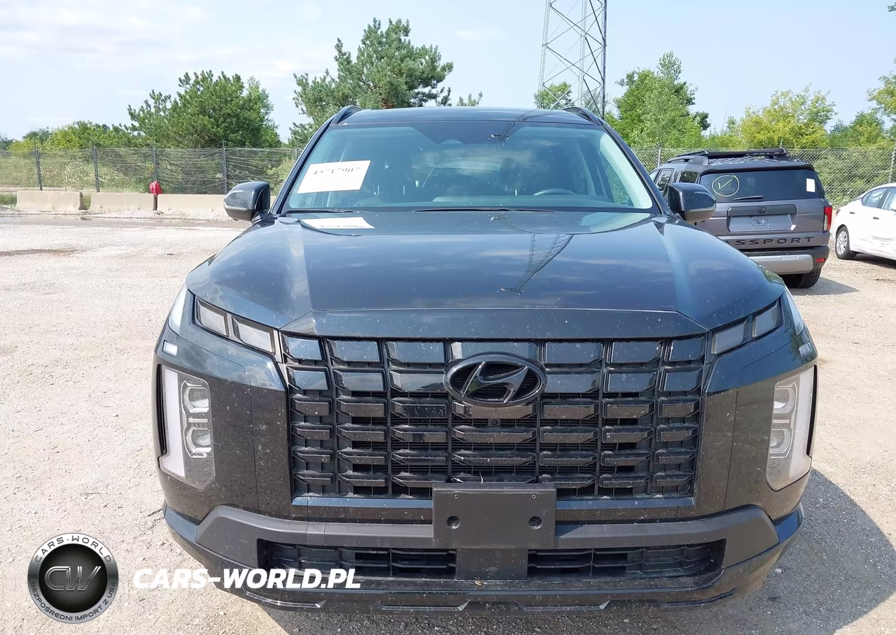 2025 Hyundai Palisade Xrt VIN:KM8R3DGE4SU903556 - 12