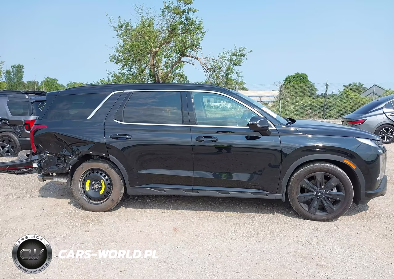 2025 Hyundai Palisade Xrt VIN:KM8R3DGE4SU903556 - 13