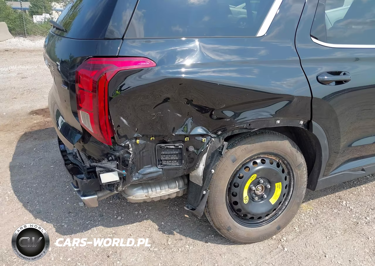 2025 Hyundai Palisade Xrt VIN:KM8R3DGE4SU903556 - 17