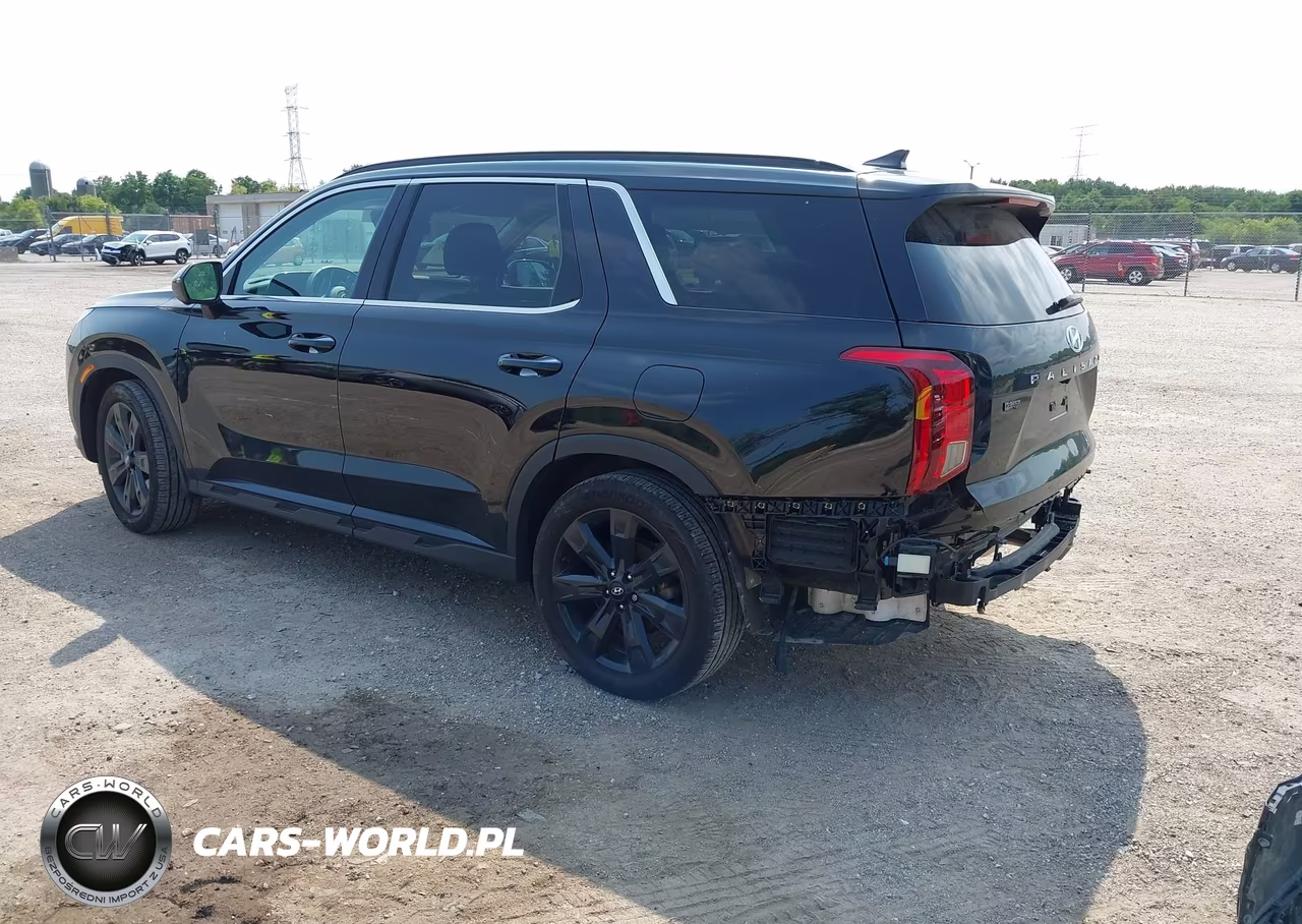 2025 Hyundai Palisade Xrt VIN:KM8R3DGE4SU903556 - 3