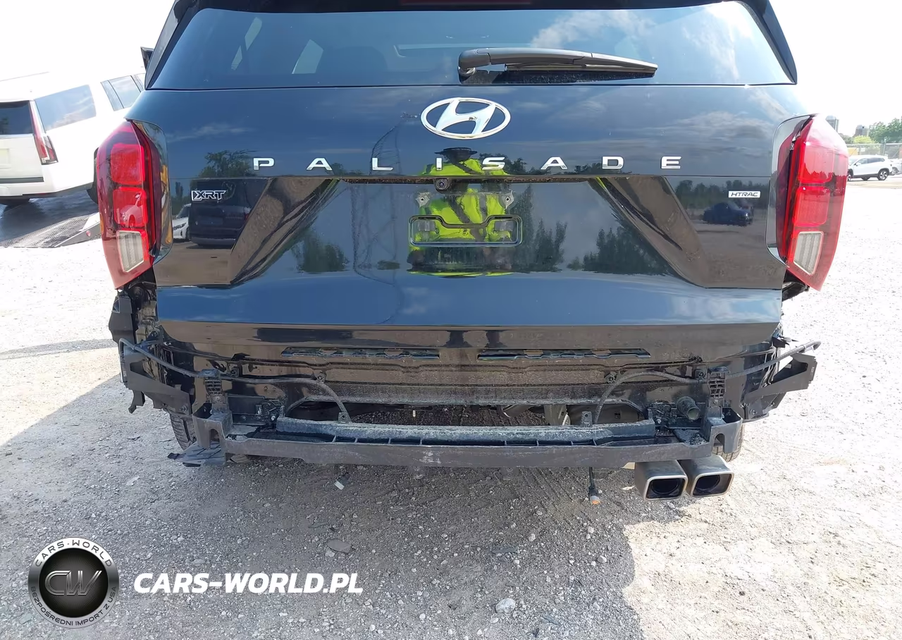 2025 Hyundai Palisade Xrt VIN:KM8R3DGE4SU903556 - 6