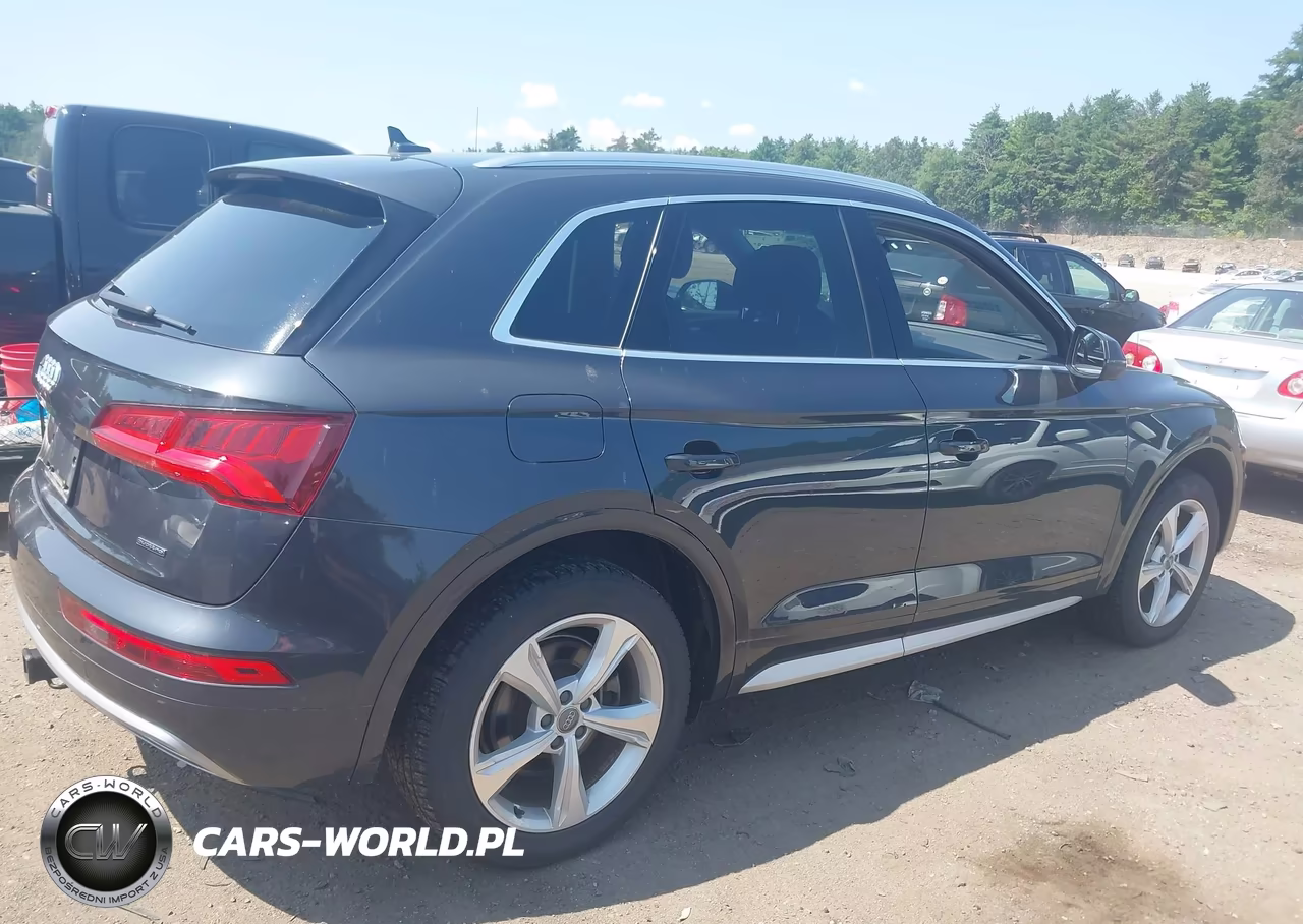2020 Audi Q5 Premium Plus 45 Tfsi Quattro S Tronic VIN:WA1BNAFY8L2012056 - 4
