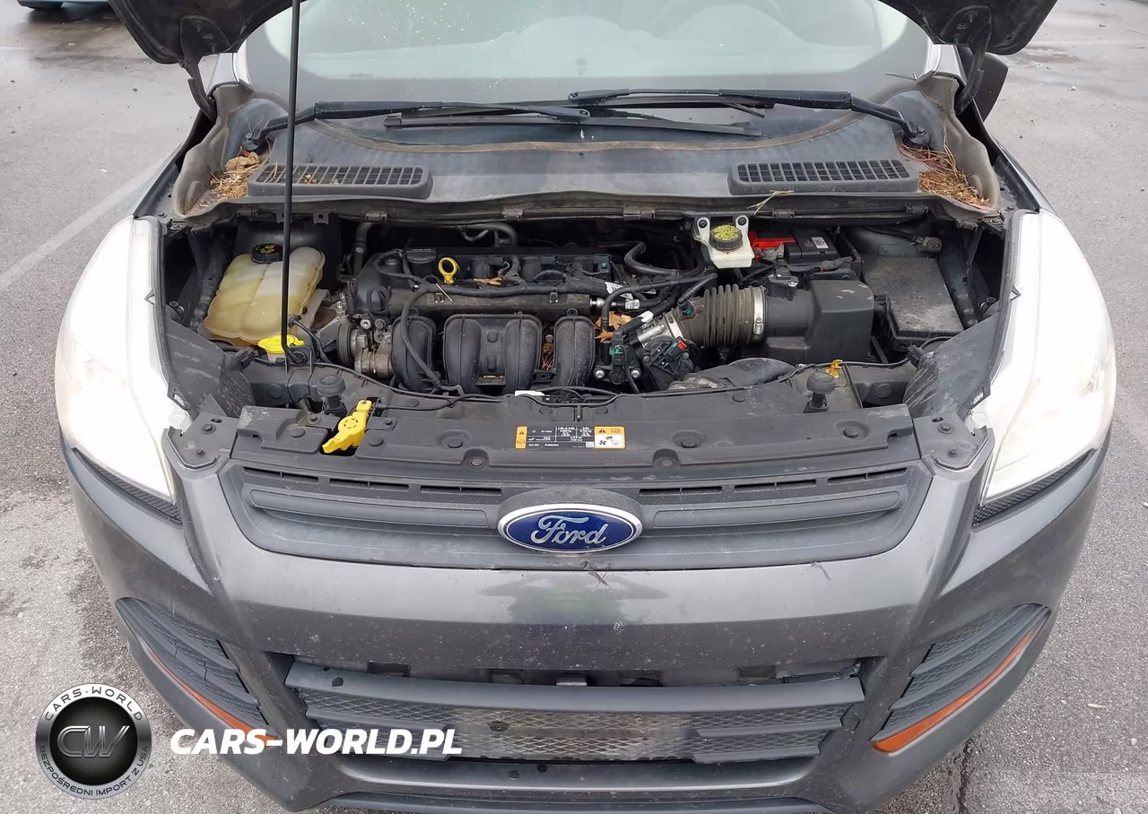2015 Ford Escape S VIN:1FMCU0F79FUB06093 - 10
