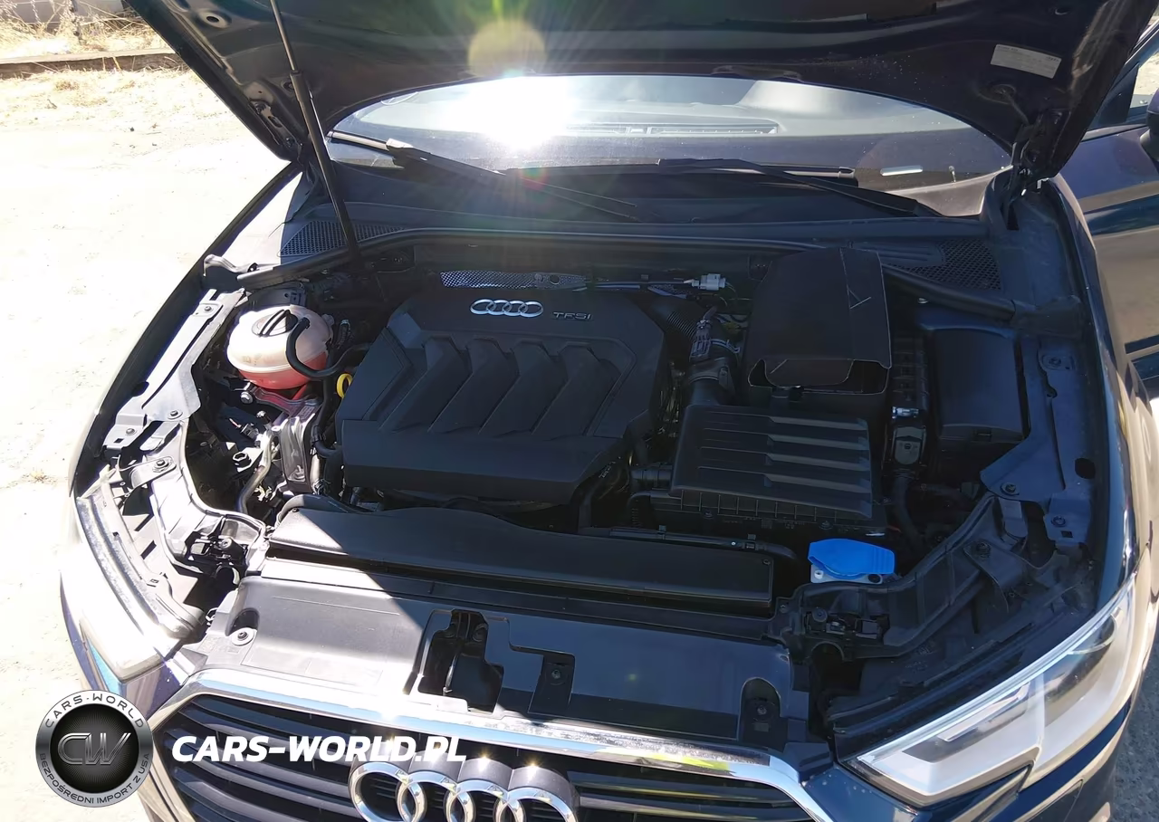 2017 Audi A3 Premium VIN:WAUAUGFF9H1035023 - 10