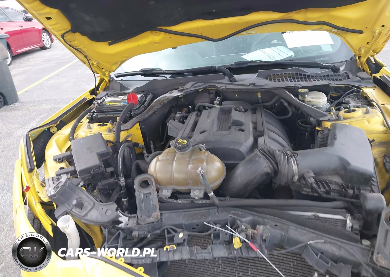 2016 Ford Mustang Ecoboost Premium VIN:1FATP8UH9G5216875 - 10