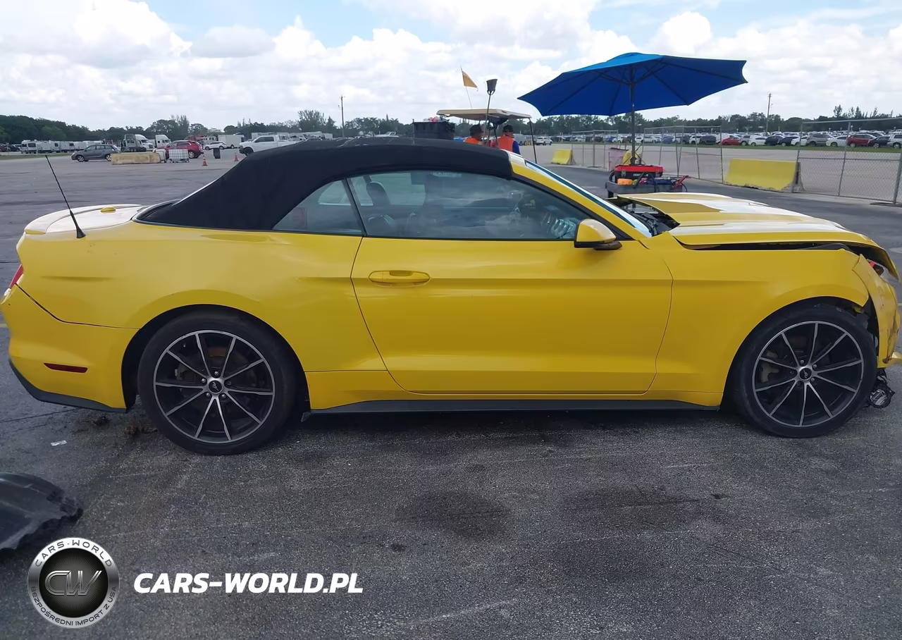 2016 Ford Mustang Ecoboost Premium VIN:1FATP8UH9G5216875 - 14