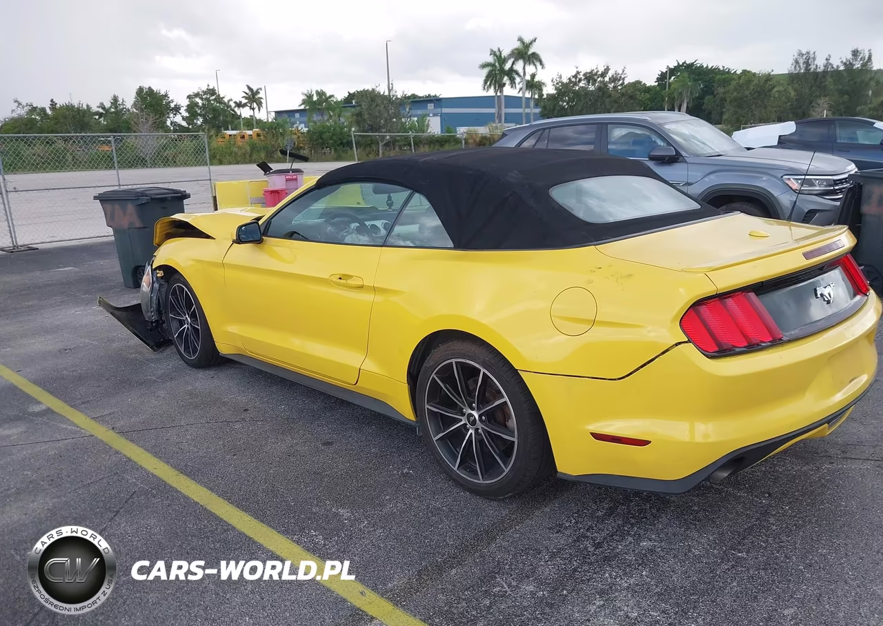 2016 Ford Mustang Ecoboost Premium VIN:1FATP8UH9G5216875 - 3