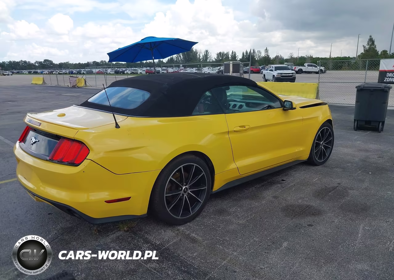 2016 Ford Mustang Ecoboost Premium VIN:1FATP8UH9G5216875 - 4