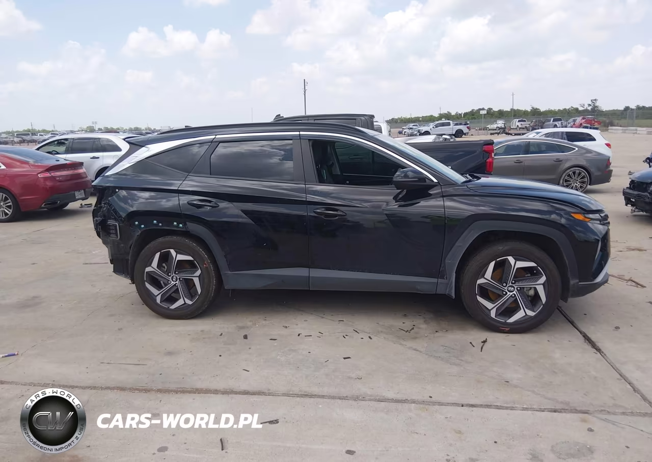 2022 Hyundai Tucson Sel VIN:5NMJCCAE3NH132569 - 13