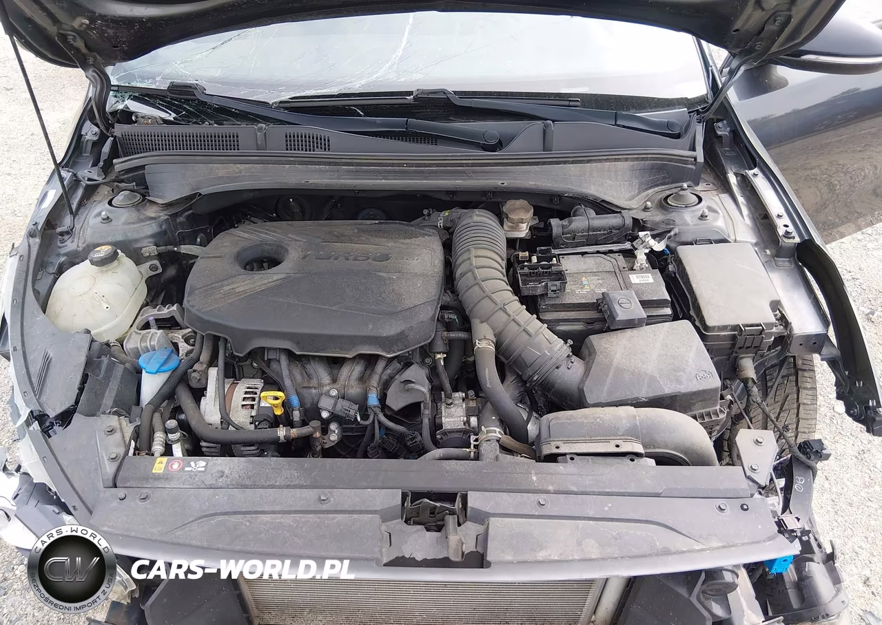 2020 Kia Forte Gt VIN:3KPF44AC7LE227096 - 10