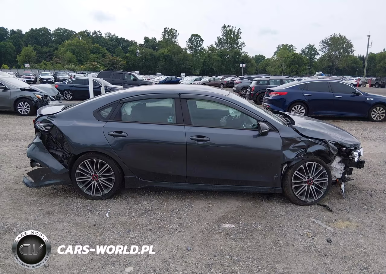 2020 Kia Forte Gt VIN:3KPF44AC7LE227096 - 13