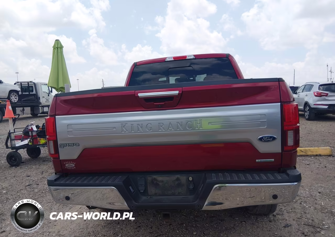 2019 Ford F-150 King Ranch VIN:1FTEW1E44KFC56101 - 16