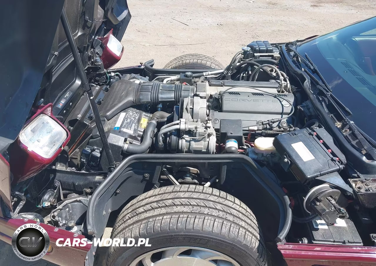 1993 Chevrolet Corvette VIN:1G1YY23P5P5117773 - 10