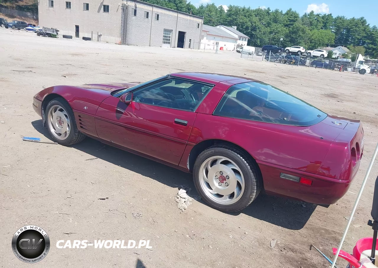 1993 Chevrolet Corvette VIN:1G1YY23P5P5117773 - 3