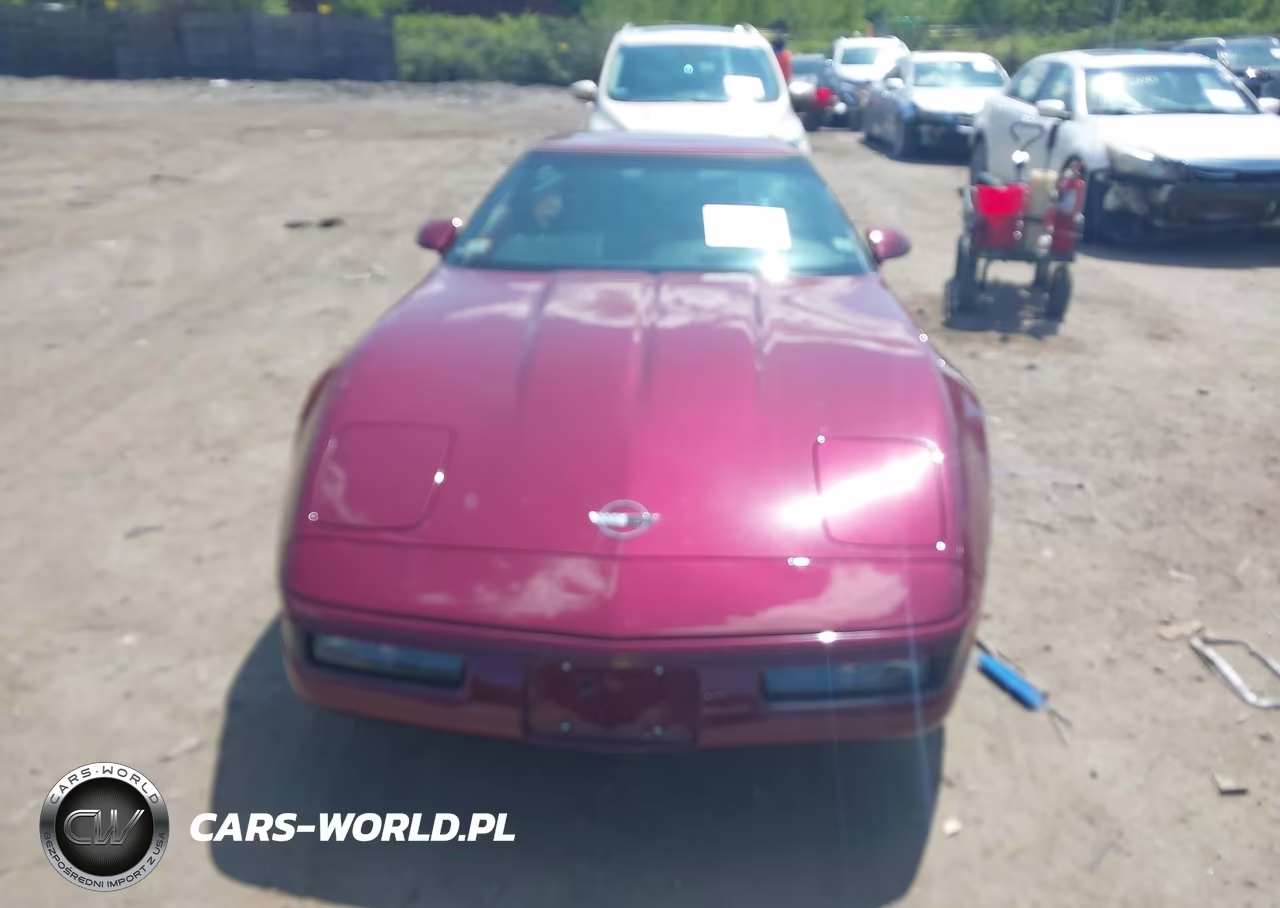 1993 Chevrolet Corvette VIN:1G1YY23P5P5117773 - 6
