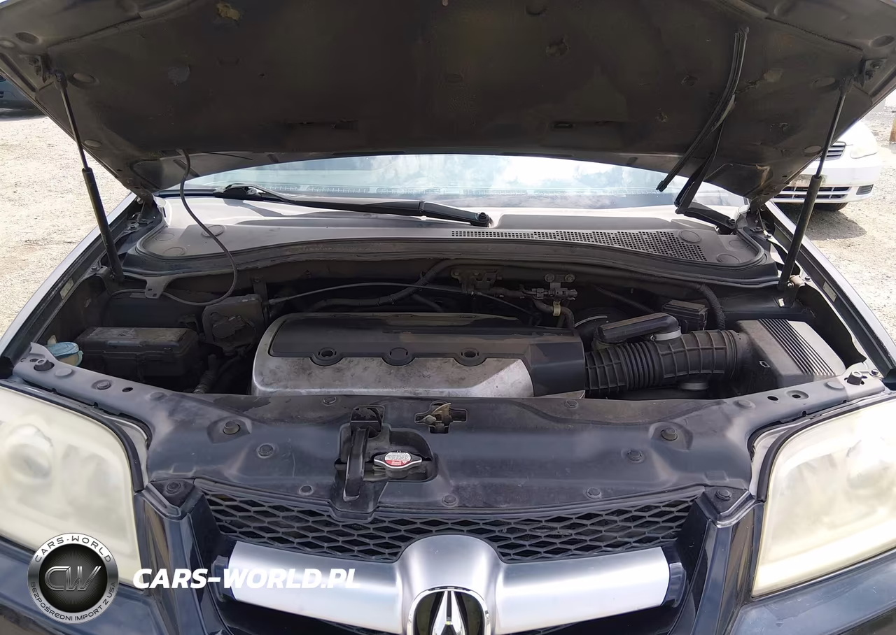 2005 Acura Mdx VIN:2HNYD18945H517220 - 10