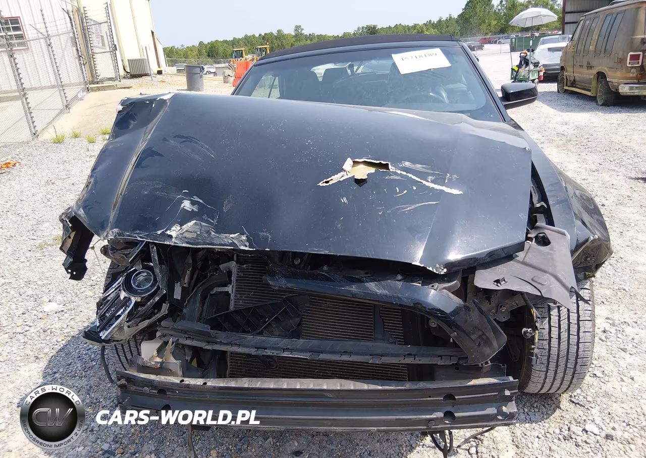 2013 Ford Mustang V6 Premium VIN:1ZVBP8EM6D5219372 - 13