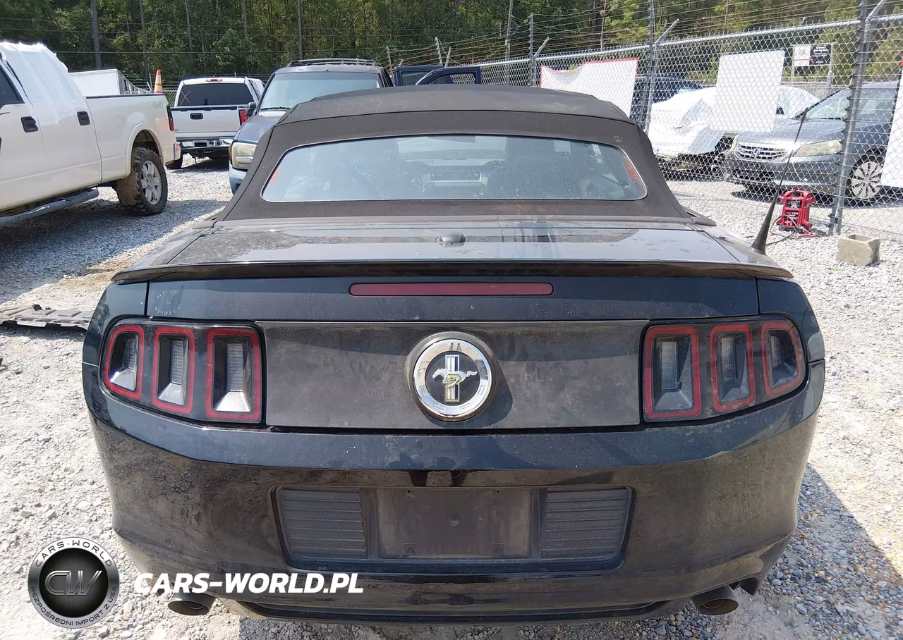 2013 Ford Mustang V6 Premium VIN:1ZVBP8EM6D5219372 - 17