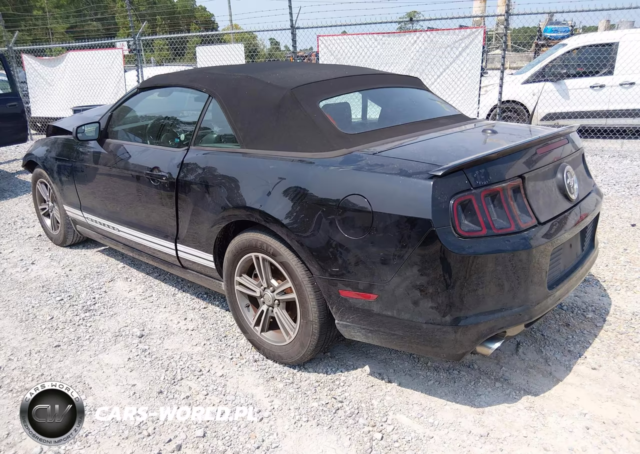 2013 Ford Mustang V6 Premium VIN:1ZVBP8EM6D5219372 - 3