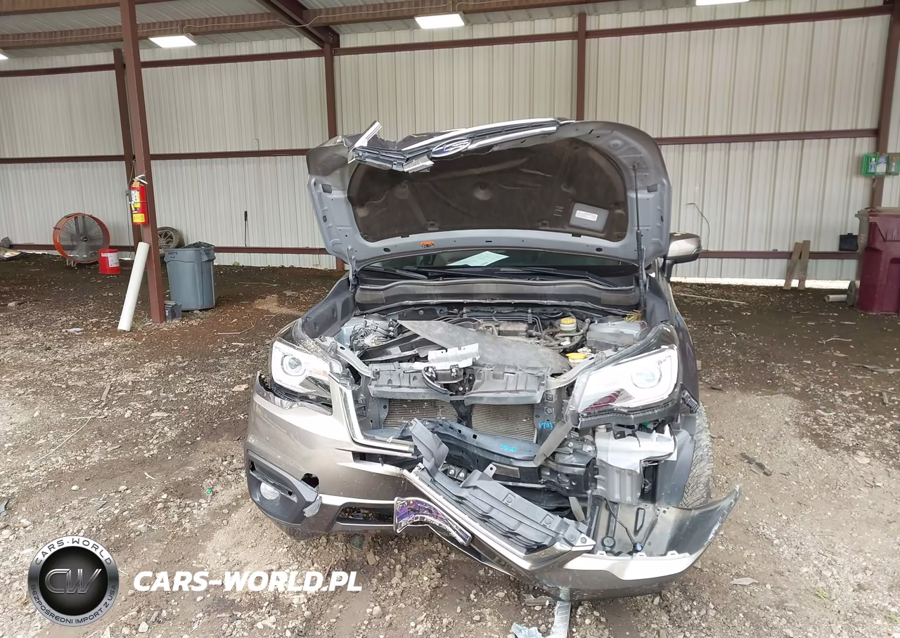 2018 Subaru Forester 2.5I Touring VIN:JF2SJAWC8JH607653 - 6