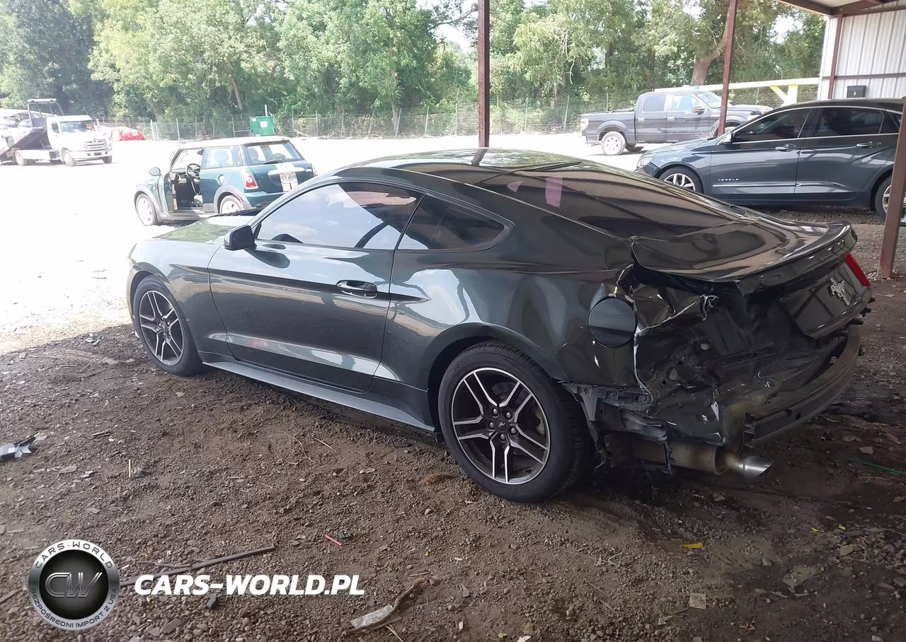 2016 Ford Mustang V6 VIN:1FA6P8AM5G5210084 - 3