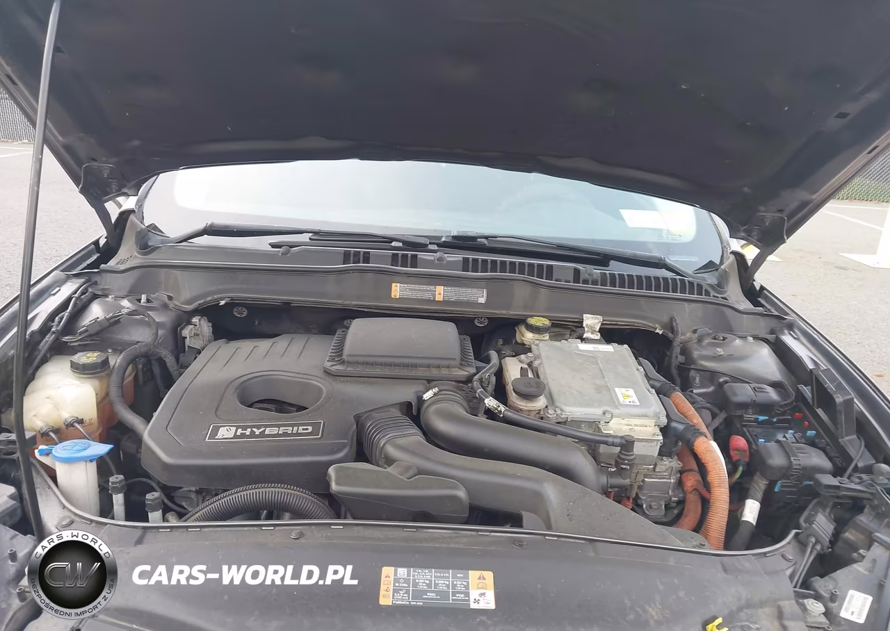 2016 Ford Fusion Hybrid Se VIN:3FA6P0LU6GR368574 - 10