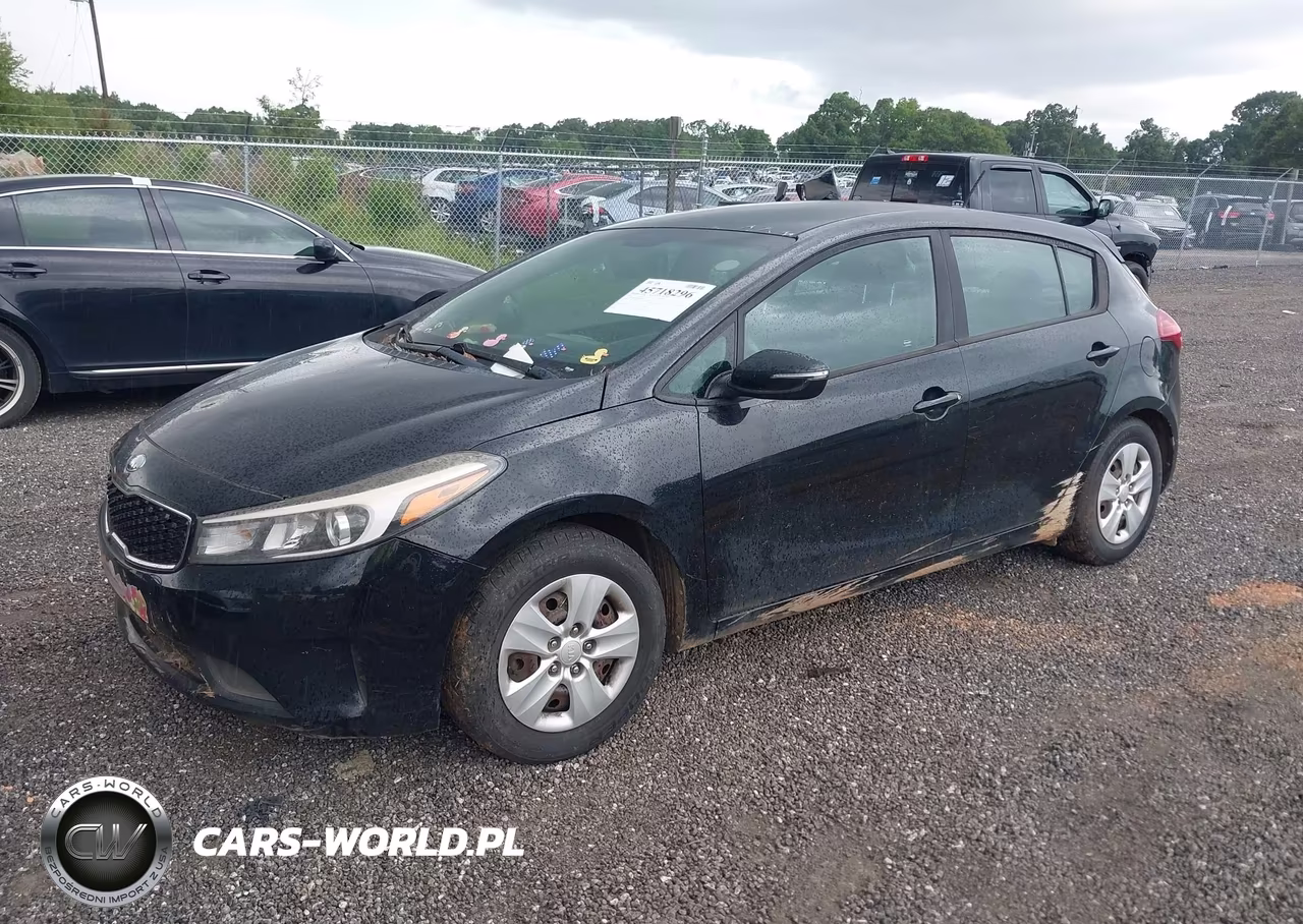2017 Kia Forte Lx VIN:KNAFK5A8XH5701601 - 2