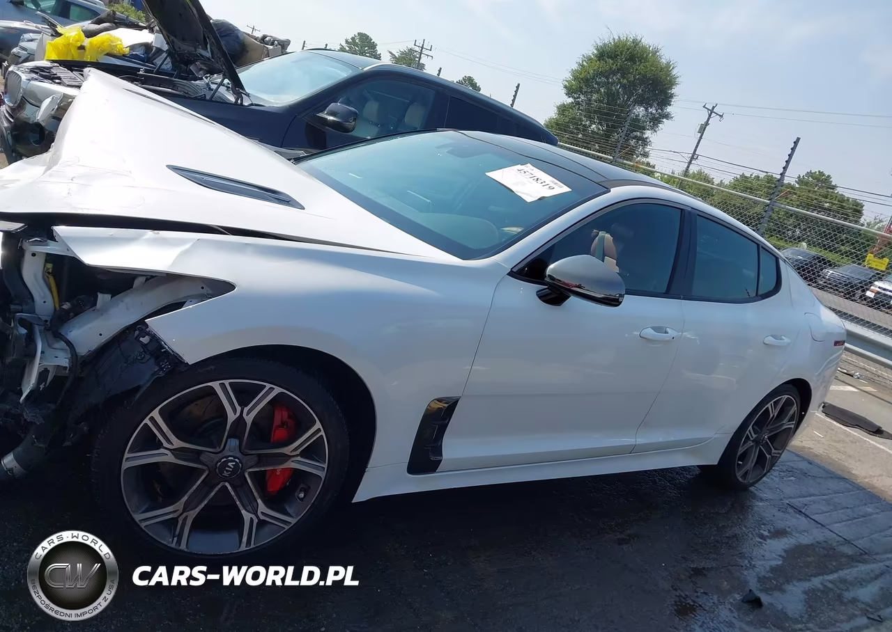 2020 Kia Stinger Gt1 VIN:KNAE45LC6L6081436 - 14