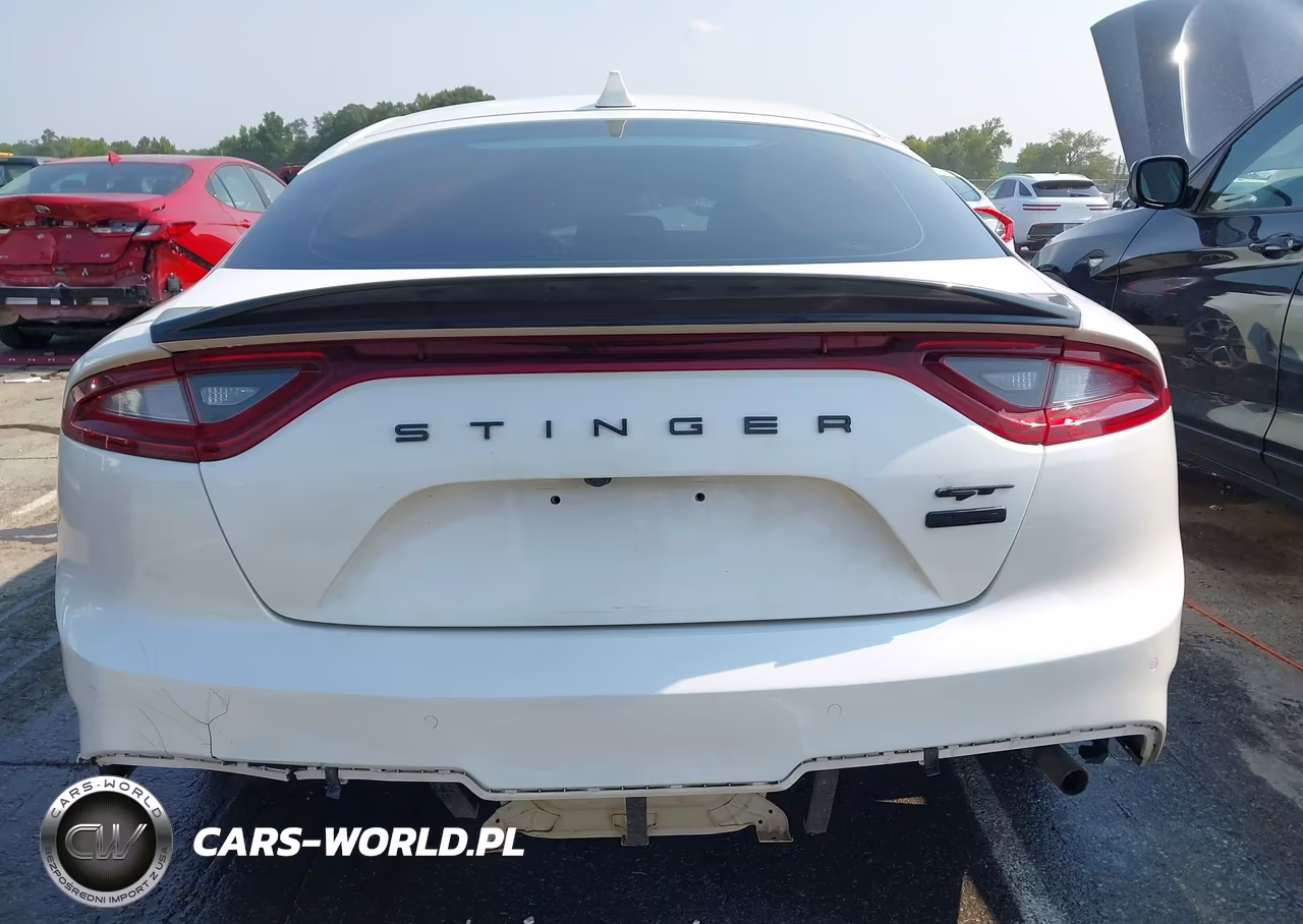 2020 Kia Stinger Gt1 VIN:KNAE45LC6L6081436 - 16