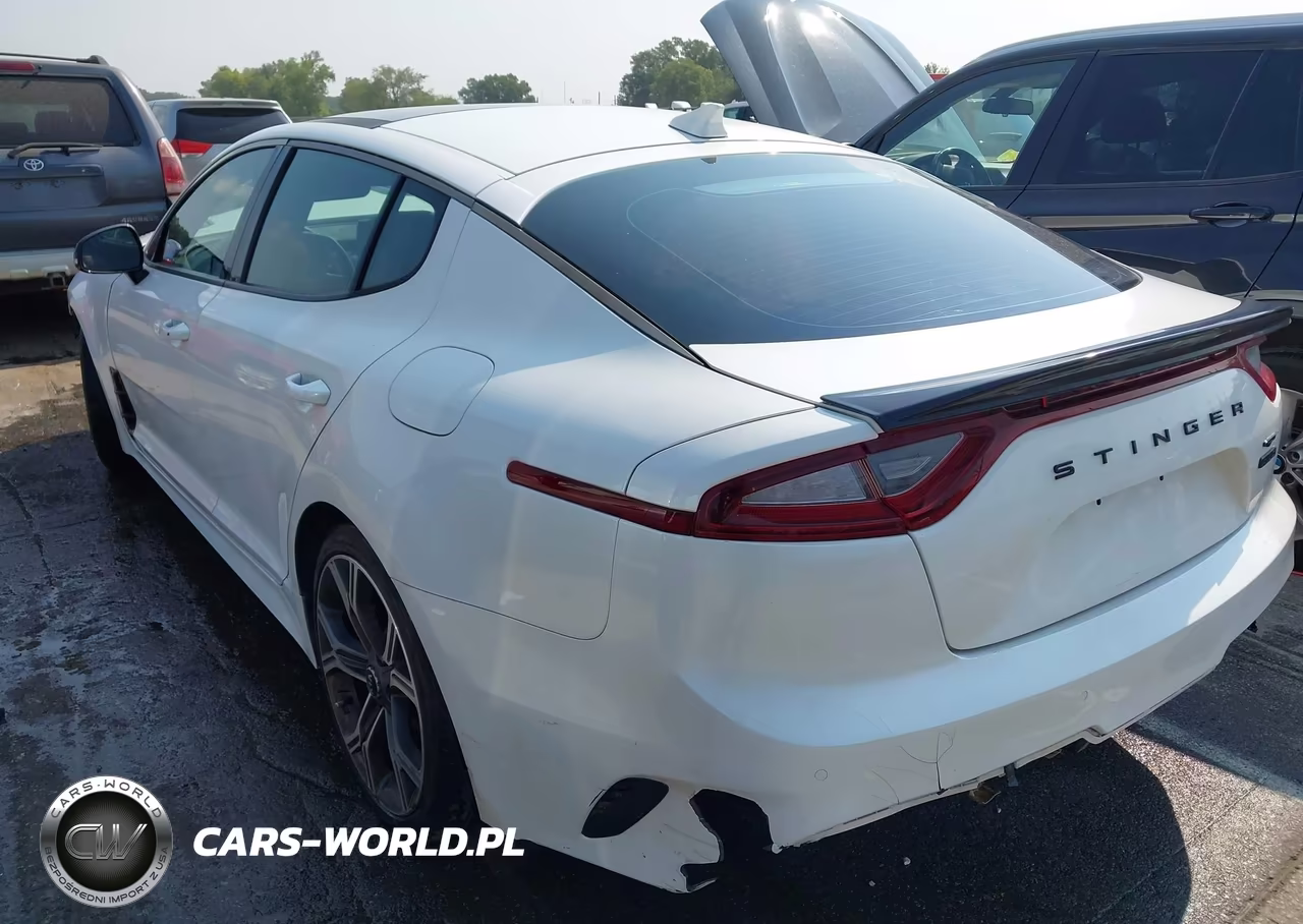 2020 Kia Stinger Gt1 VIN:KNAE45LC6L6081436 - 3
