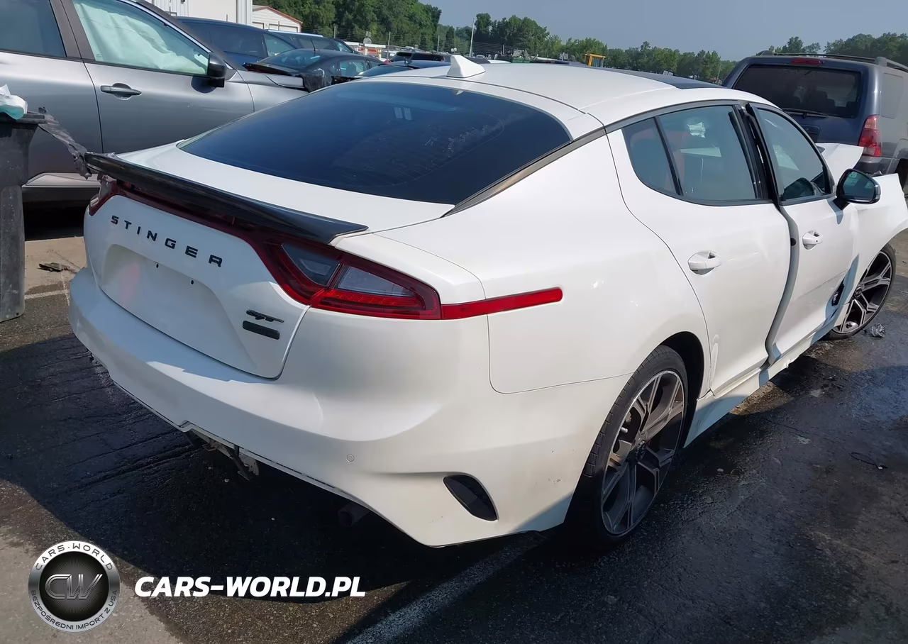 2020 Kia Stinger Gt1 VIN:KNAE45LC6L6081436 - 4