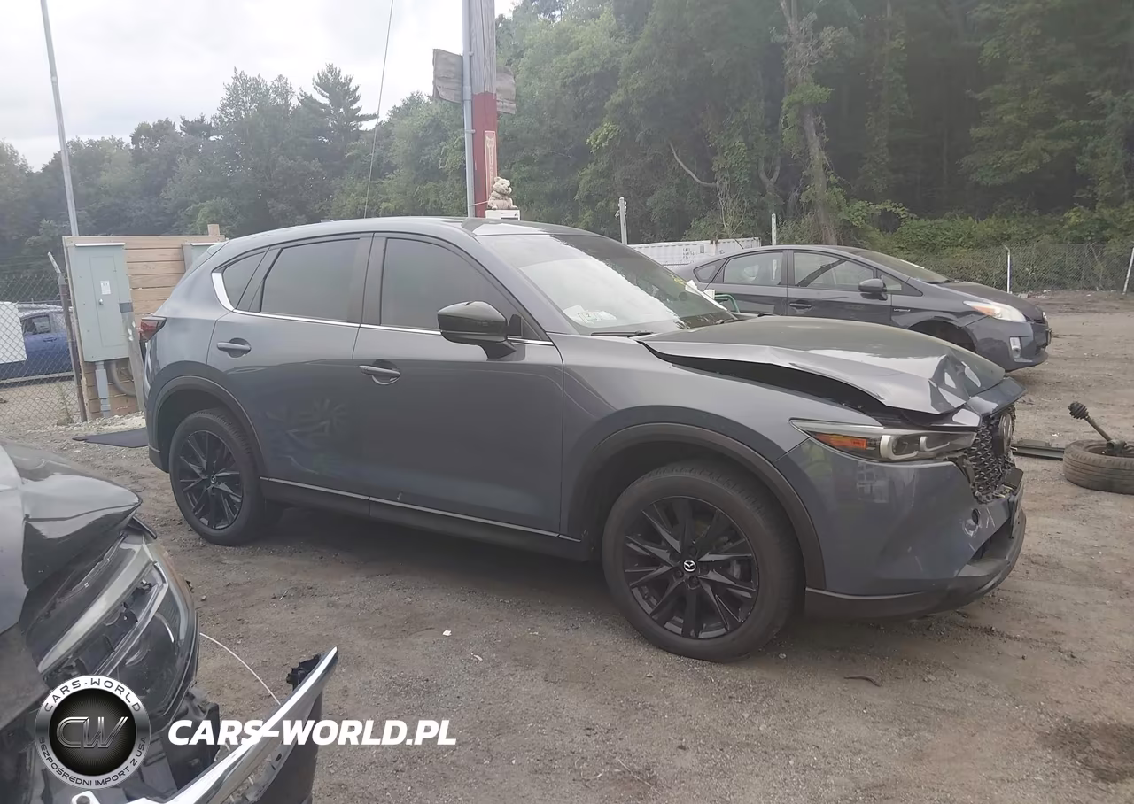 2024 Mazda Cx-5 2.5 S Carbon Edition VIN:JM3KFBCM2R0351093 - 14