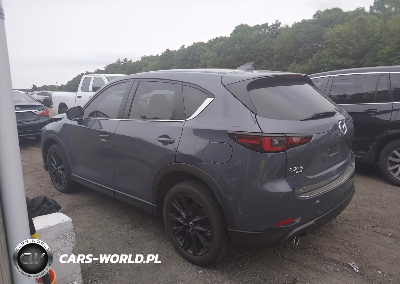 2024 Mazda Cx-5 2.5 S Carbon Edition VIN:JM3KFBCM2R0351093 - 15