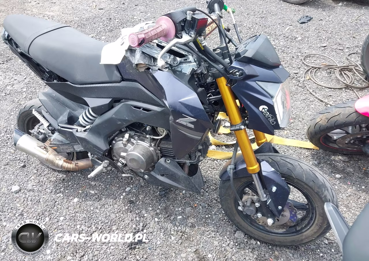 2020 Kawasaki Br125 J